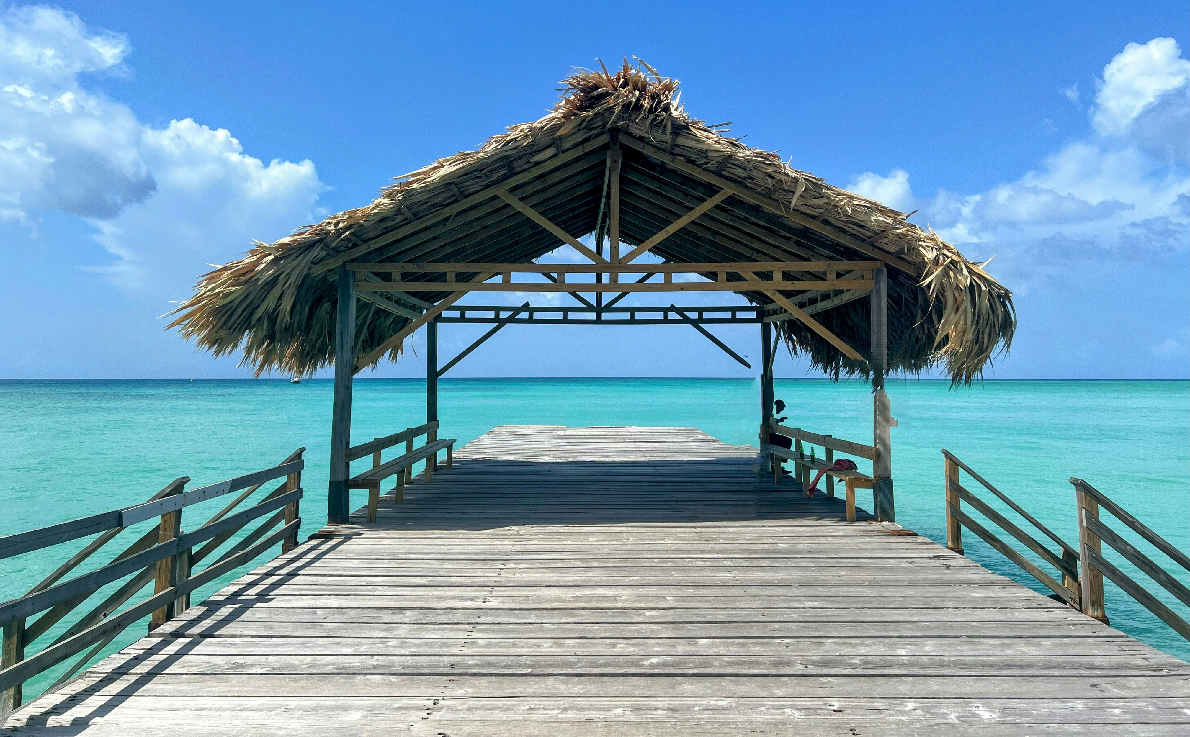 Tropical Paradise